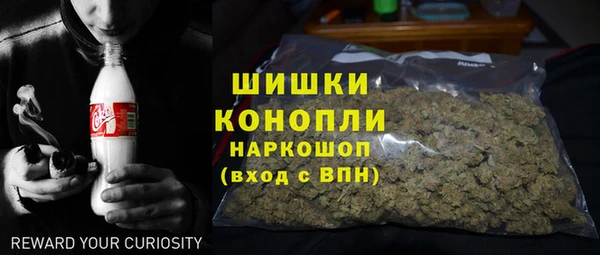ешки Корсаков