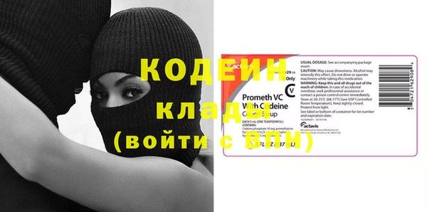 ешки Корсаков