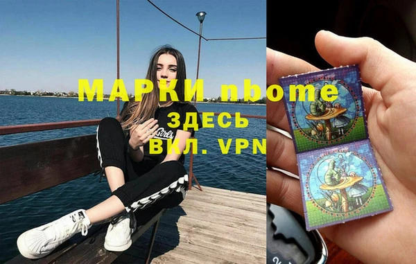 стаф Козловка