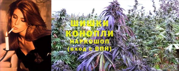 твердый Коряжма