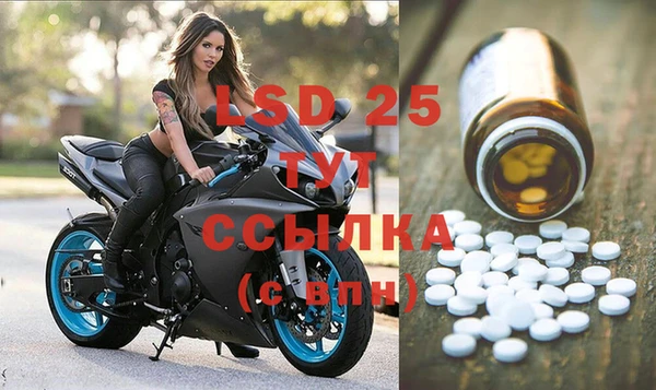 стаф Кулебаки