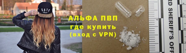 ешки Корсаков