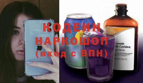 ешки Корсаков