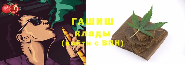 ешки Корсаков