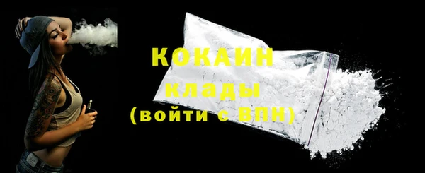 твердый Коряжма