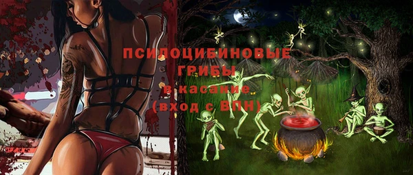 стаф Кулебаки