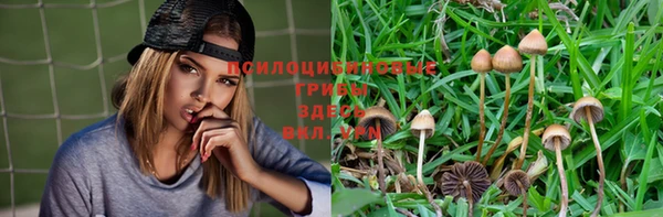 круглые Кукмор