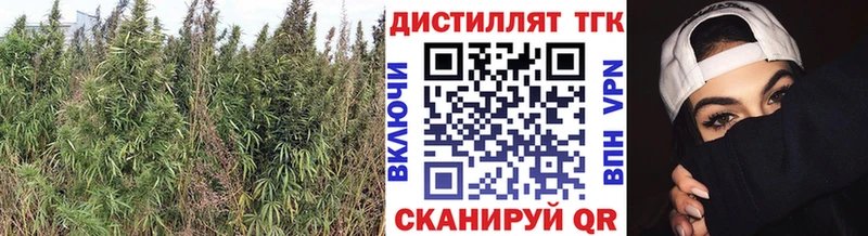 Дистиллят ТГК жижа  наркотики  Лобня 