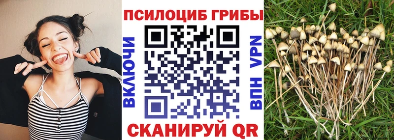Псилоцибиновые грибы мицелий купить наркотики сайты Лобня