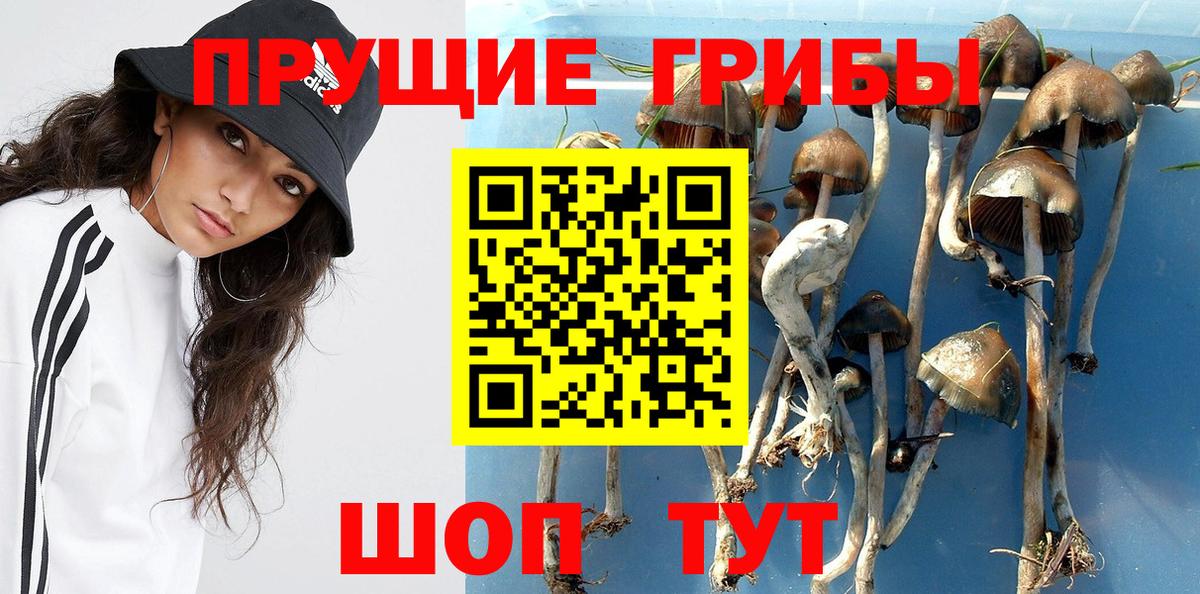 Псилоцибиновые грибы MAGIC MUSHROOMS  закладка  Лобня  Псилоцибиновые грибы прущие грибы  Вход с VPN 